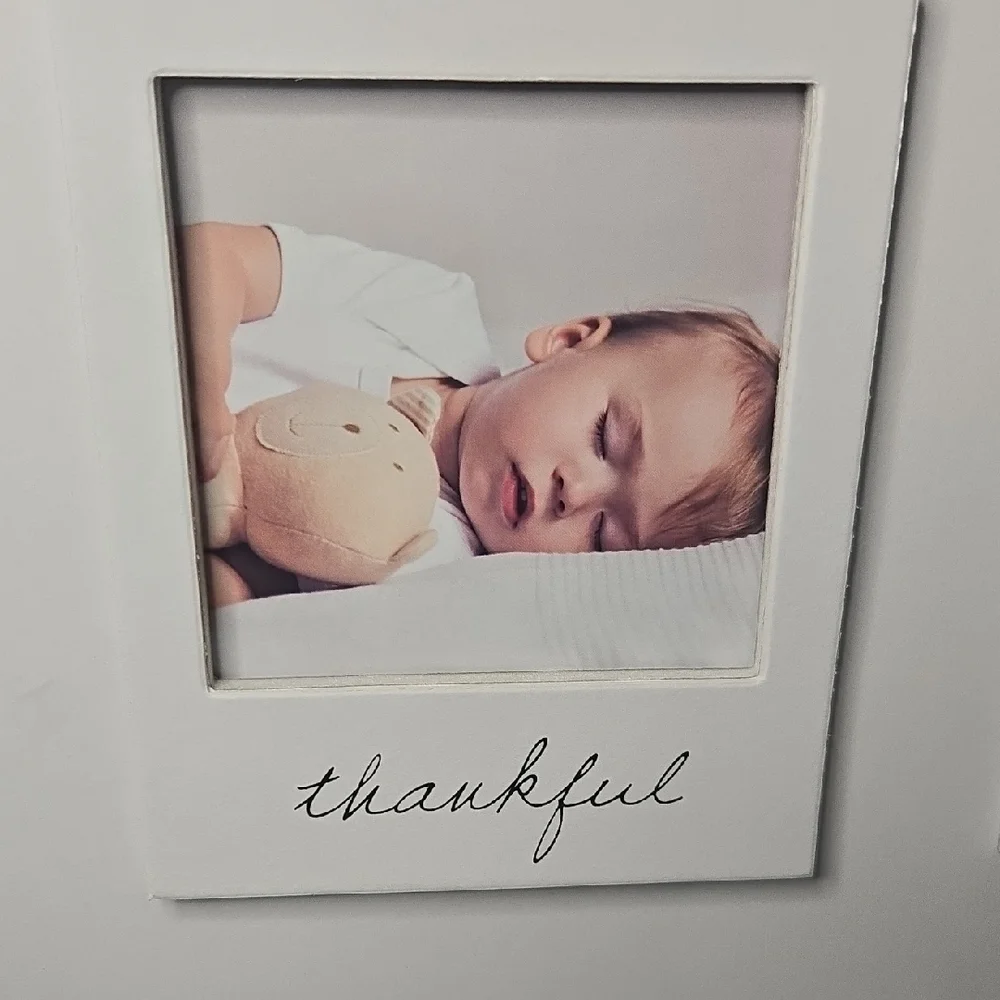 Studio Decor Double Photo Thankful & Grateful Dual Wall Gray Wood Frame
